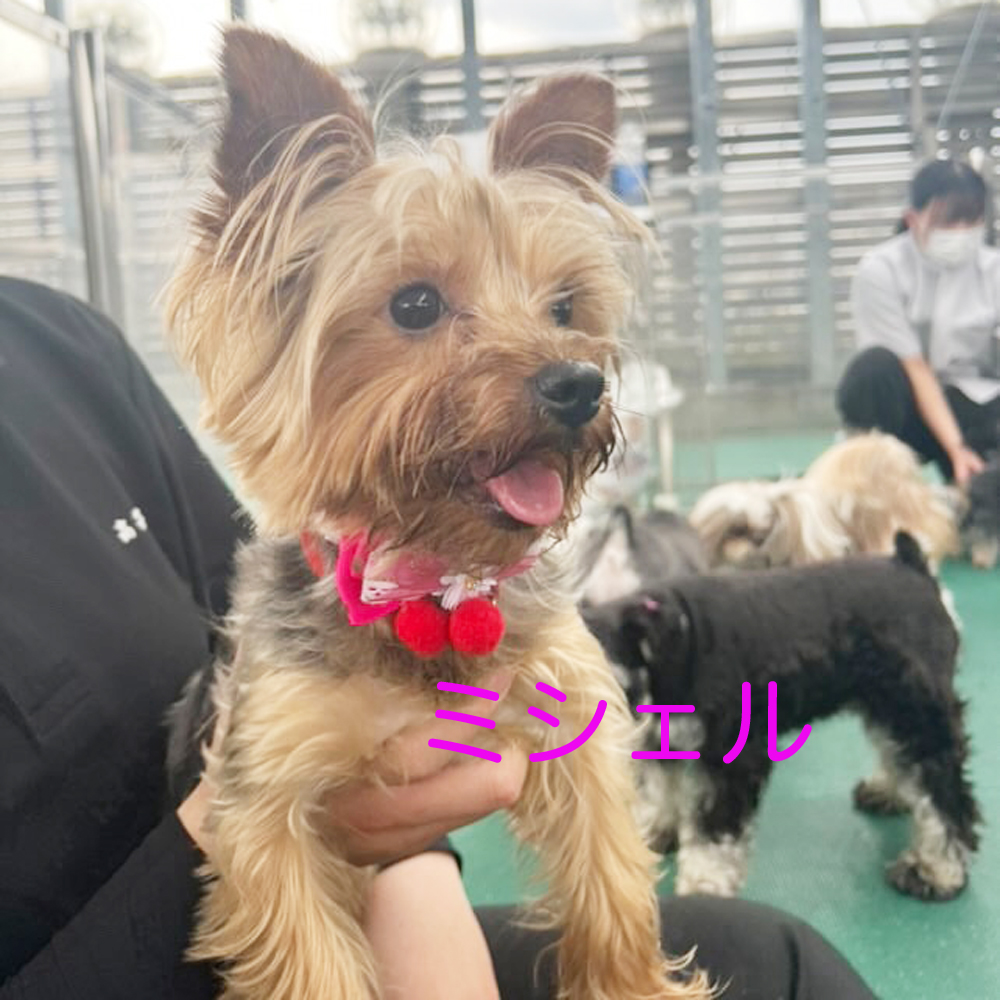 生徒が撮影してくれた写真☆